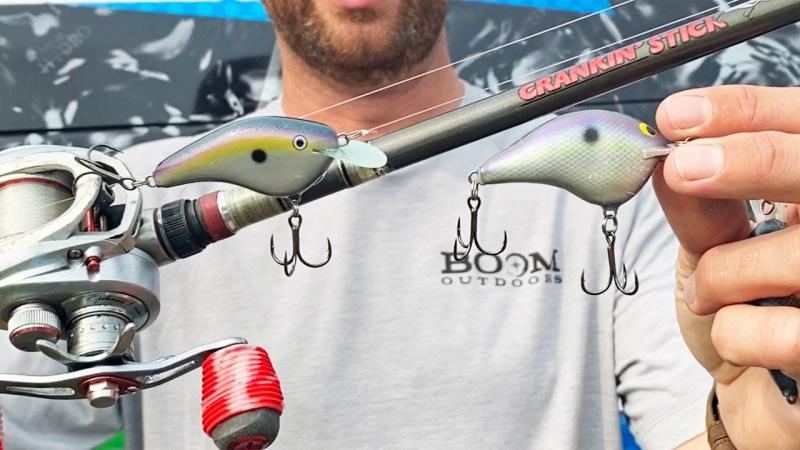 Looking to Buy The Right Giant Rapala Lure. Expert Tips For Getting The Best