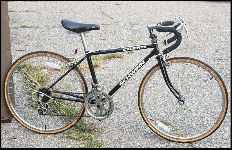 Looking to Buy The Schwinn Thrasher Bike. Discover The 15 Benefits You Need To Know
