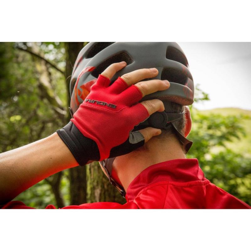Looking to Buy Warrior Evo Pro Gloves. Here Are 15 Key Things to Consider