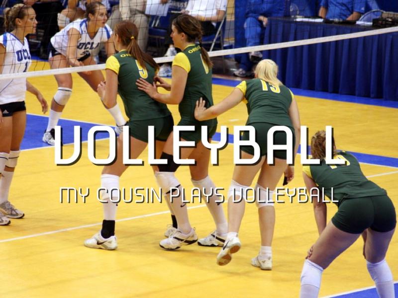 Looking to Enjoy Volleyball More This Year. Find Your Perfect Volleyball Pal