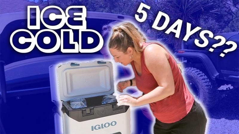Looking to Keep Drinks Chilly All Day Long. The Igloo Tag Along Too Cooler is Perfect
