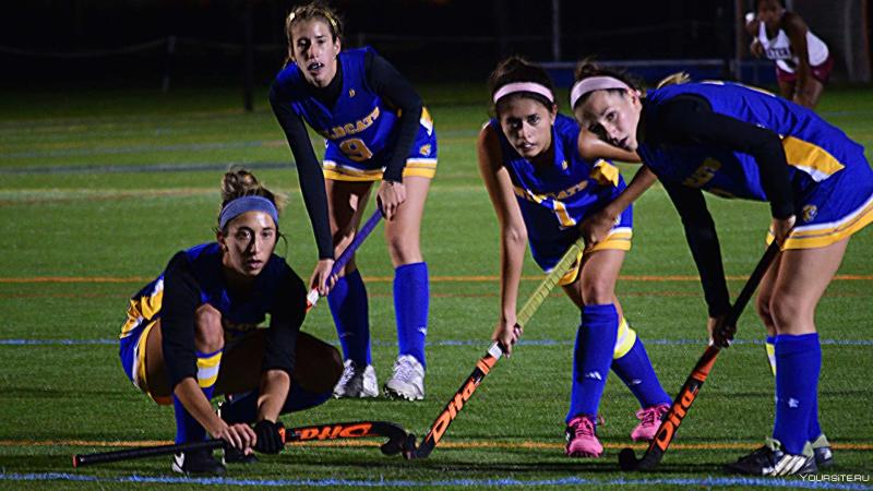 Looking to up Your Field Hockey Game This Season. Discover the Best Shin Guards to Protect and Empower Your Play