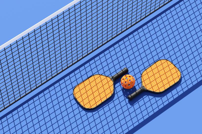 Looking to Up Your Pickleball Game This Year. Discover the 15 Best Franklin Pickleball Paddles