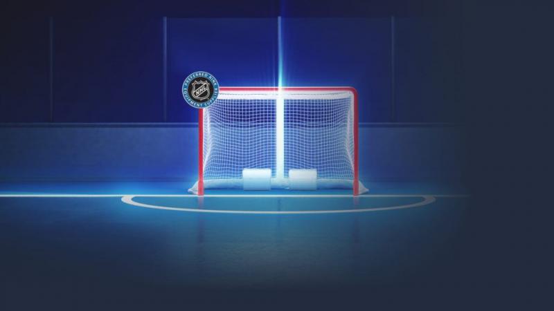 Looking to Upgrade Your Hockey Net This Year. Discover the Best Primed Hockey Nets