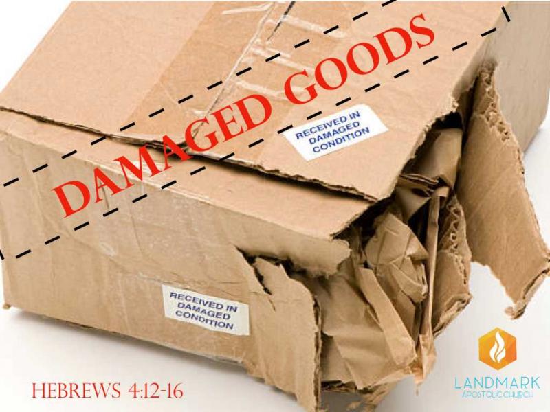 Lost Your Package in Transit. How Universal Parcel Tracking Fixes Your Shipping Nightmares