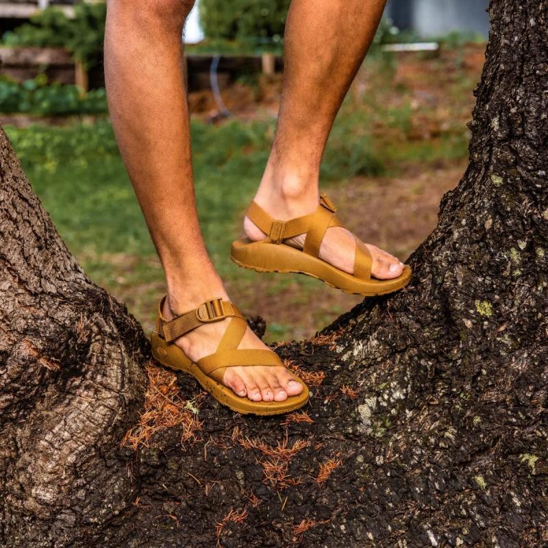 Missing Your Favorite Sandals This Summer. Discover The Black Chacos Taking Over