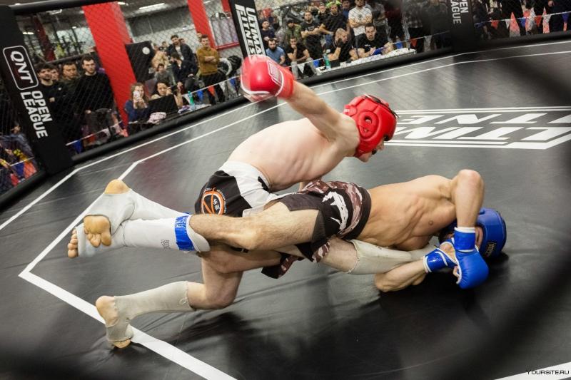 MMA Fighters: Are You Maximizing Your Strike Shield Training Like A Pro. : Boost Damage Absorption With These 15 Essential Drills