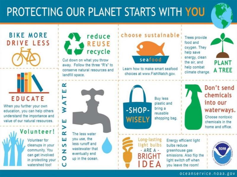 Must Know LA City Recycling Rules: How to Recycle Like a Pro in 2023