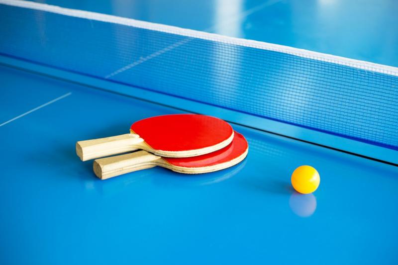 Must You Invest in a Ping Pong Table This Year. 15 Reasons Why Table Tennis Is a Wise Buy