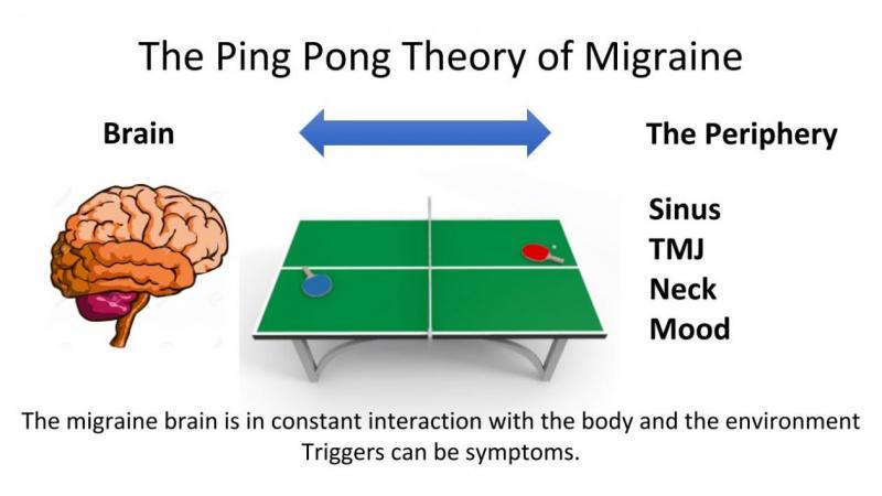 Must You Invest in a Ping Pong Table This Year. 15 Reasons Why Table Tennis Is a Wise Buy