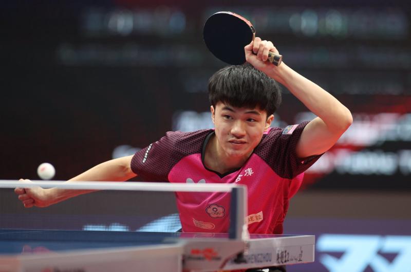 Must You Invest in a Ping Pong Table This Year. 15 Reasons Why Table Tennis Is a Wise Buy