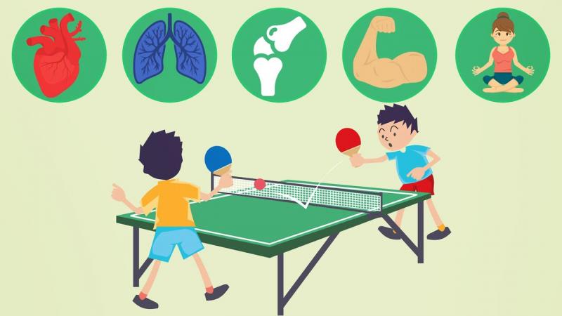 Must You Invest in a Ping Pong Table This Year. 15 Reasons Why Table Tennis Is a Wise Buy