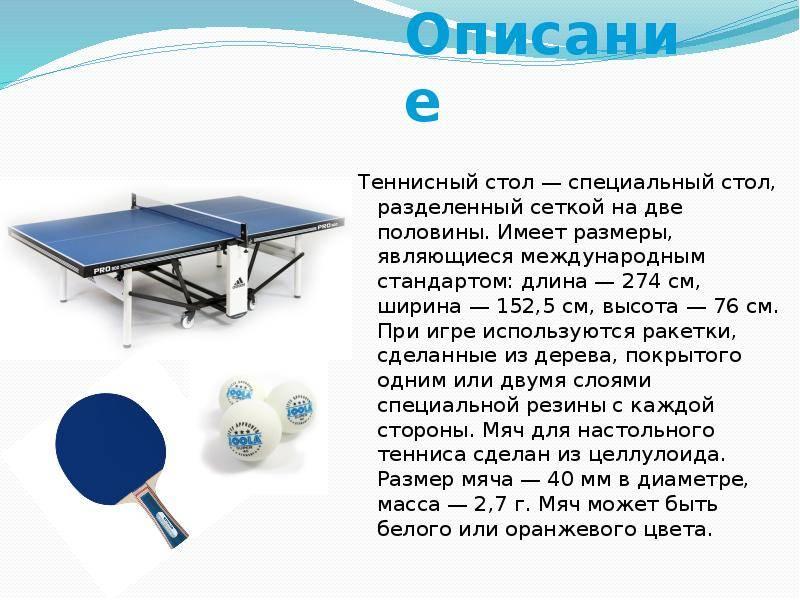 Must You Invest in a Ping Pong Table This Year. 15 Reasons Why Table Tennis Is a Wise Buy