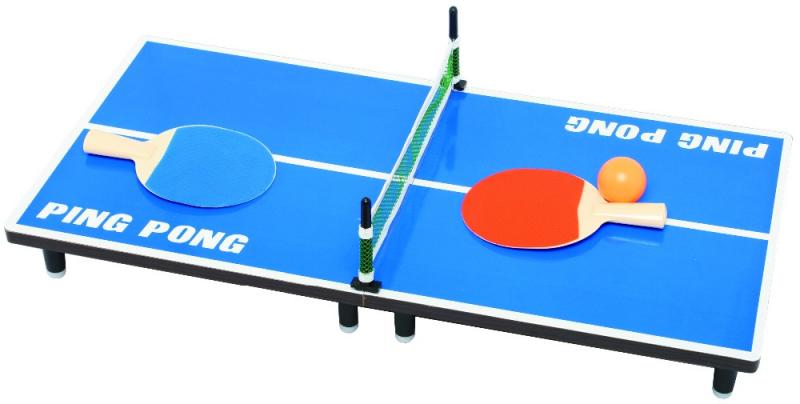 Must You Invest in a Ping Pong Table This Year. 15 Reasons Why Table Tennis Is a Wise Buy