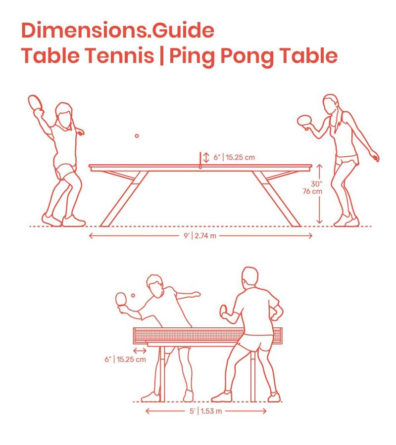 Must You Invest in a Ping Pong Table This Year. 15 Reasons Why Table Tennis Is a Wise Buy