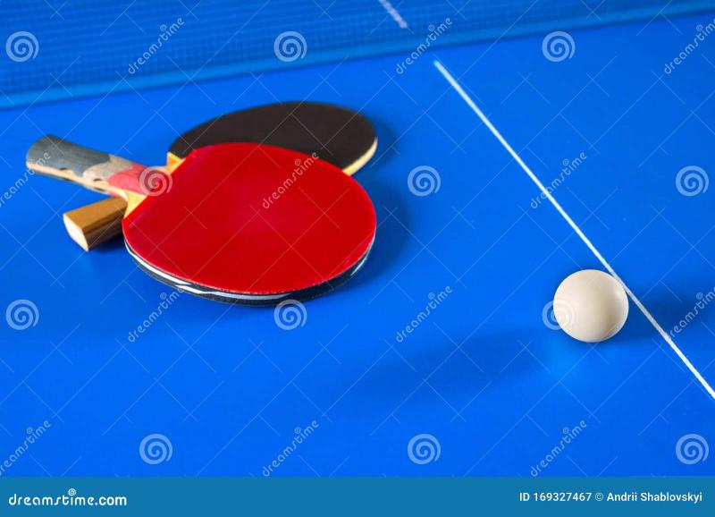 Must You Invest in a Ping Pong Table This Year. 15 Reasons Why Table Tennis Is a Wise Buy