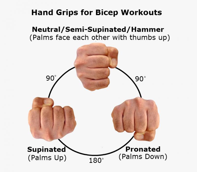 Need A Better Grip: 15 Ways Hand Grips Transform Your Workouts