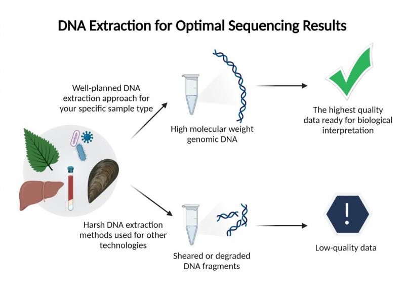 Need A Better Lacrosse Head in 2023. Check Out These 7 DNA Models