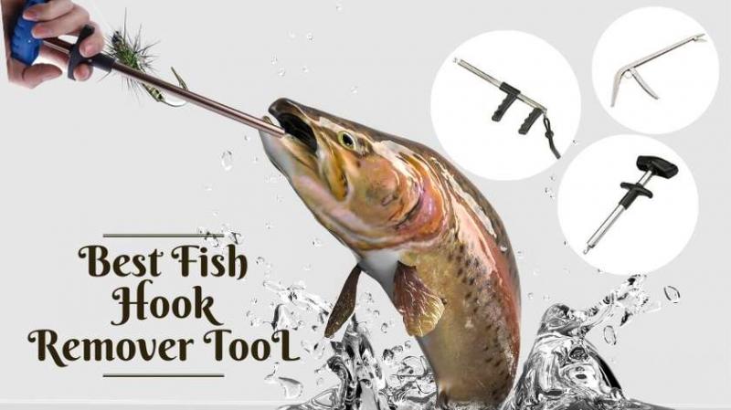 Need a Better Way to Remove Fish Hooks: This Genius Tool Will Change Your Fishing Game