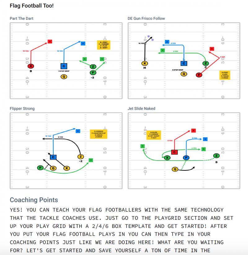 Need a Gameplan to Win. : Get the Franklin Mini Playbook Football for Strategic Plays