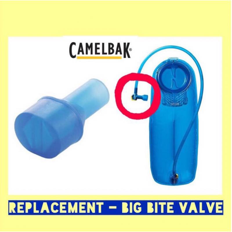 Need a New CamelBak Eddy Bite Valve. Here