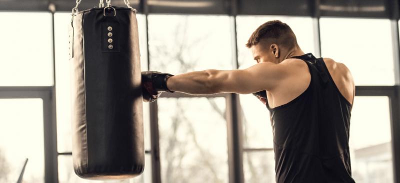 Need A New Way To Train At Home This Year: Discover The Power Of Torso Punching Bags