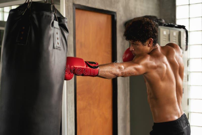 Need A New Way To Train At Home This Year: Discover The Power Of Torso Punching Bags