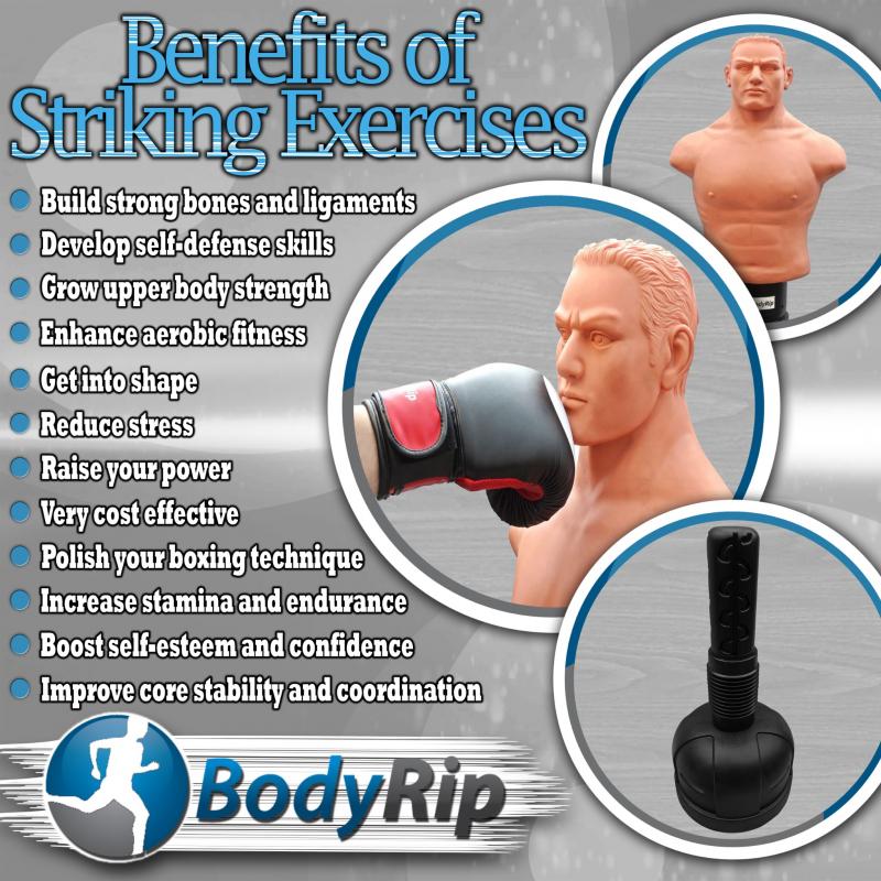 Need A New Way To Train At Home This Year: Discover The Power Of Torso Punching Bags