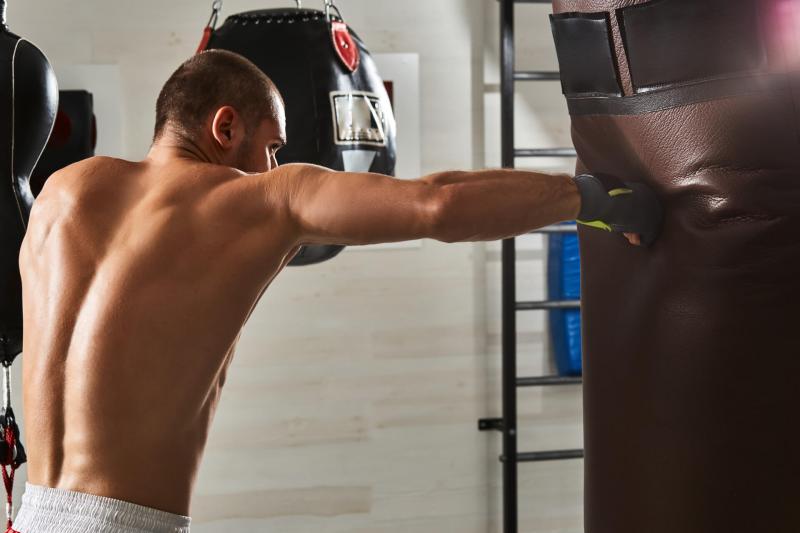 Need A New Way To Train At Home This Year: Discover The Power Of Torso Punching Bags