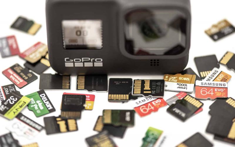 Need a Reliable micro SD Card for Your Spypoint Trail Cam. How to Pick the Perfect Memory