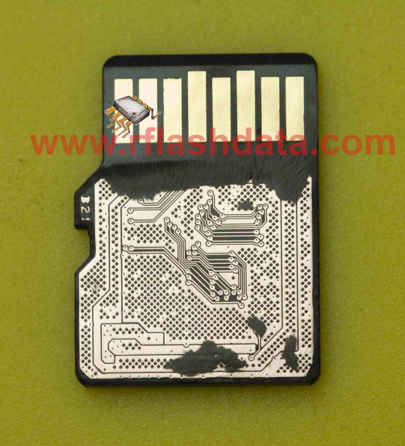 Need a Reliable micro SD Card for Your Spypoint Trail Cam. How to Pick the Perfect Memory