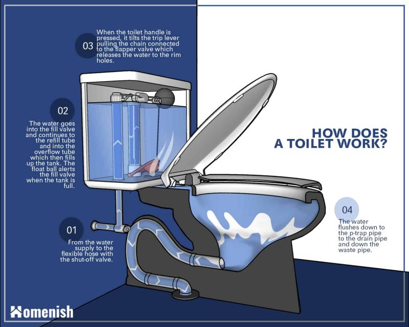Need a Reliable Portable Toilet for Your Next Camping Trip. Here