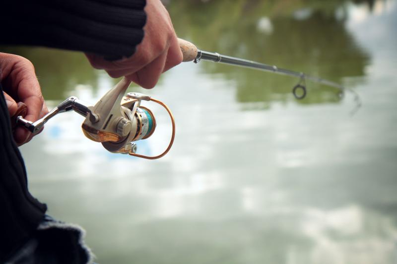 Need A Rod And Reel For Fishing Fun. 15 Key Things To Know Before Buying