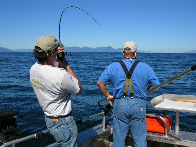 Need A Rod And Reel For Fishing Fun. 15 Key Things To Know Before Buying