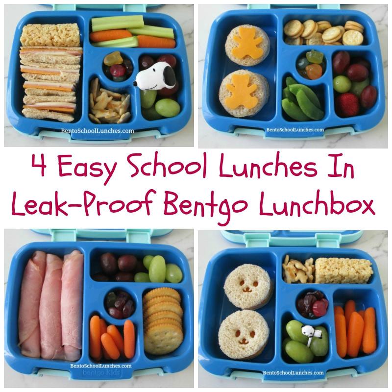 Need A Sports Lunch Box. How to Pick The Best One For 2023