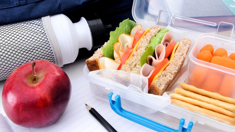 Need A Sports Lunch Box. How to Pick The Best One For 2023