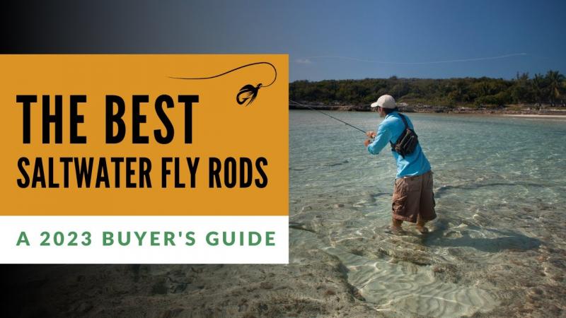 Need A Superb Rod For Saltwater Fishing This Year. Discover The Top Brands Of 2023 Here