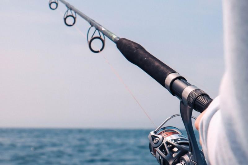 Need A Superb Rod For Saltwater Fishing This Year. Discover The Top Brands Of 2023 Here