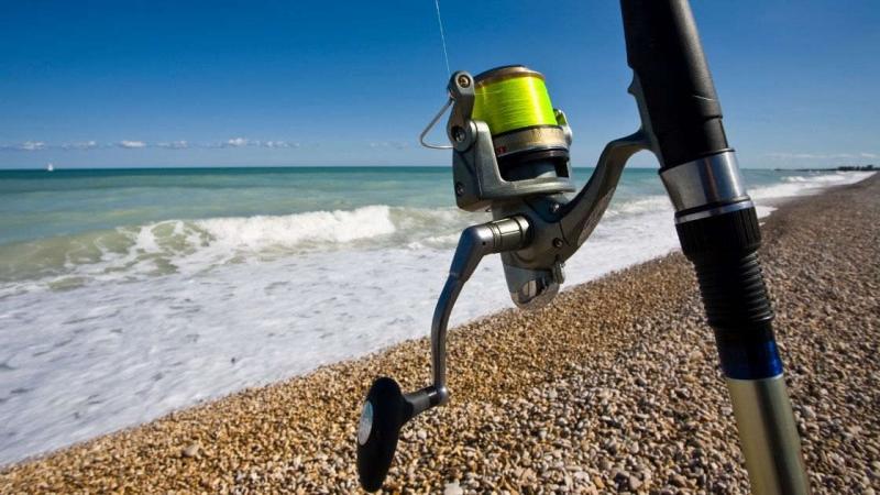 Need A Superb Rod For Saltwater Fishing This Year. Discover The Top Brands Of 2023 Here