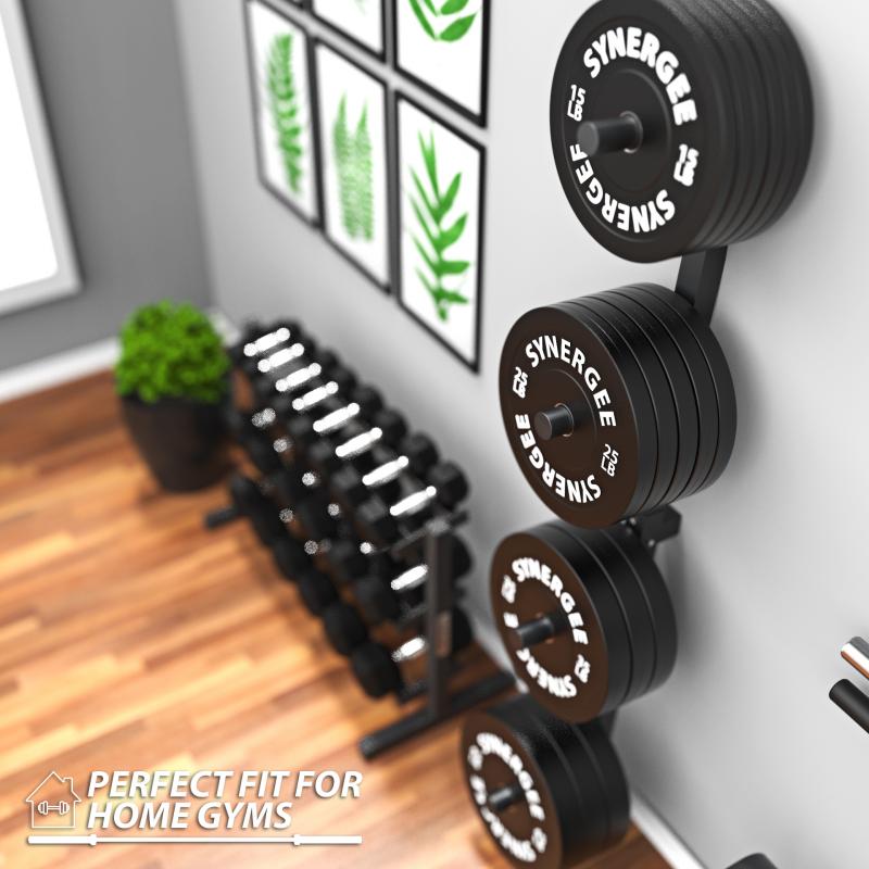 Need a Wall-Mounted Workout Solution. The 15 Surprising Benefits of the Ethos Folding Wall Rack