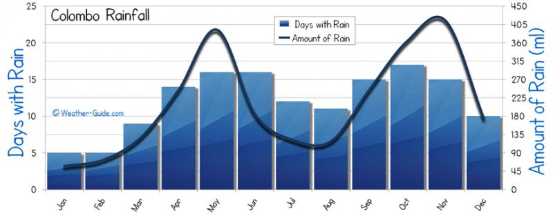 Need Accurate Rainfall Data. Discover the TX145R Rain Gauge