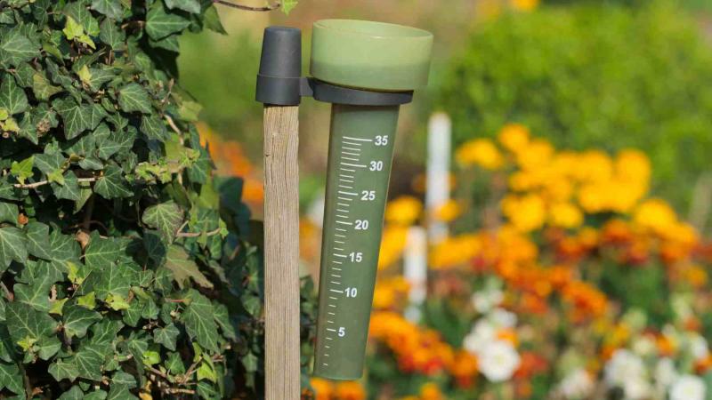 Need Accurate Rainfall Data. Discover the TX145R Rain Gauge