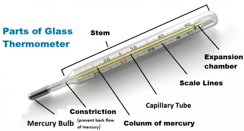 Need Accurate Temps Outside Your Home. Discover The Best Round Thermometers Here