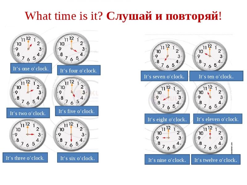 Need Accurate Timekeeping: How Stopwatches Revolutionize Task Timing