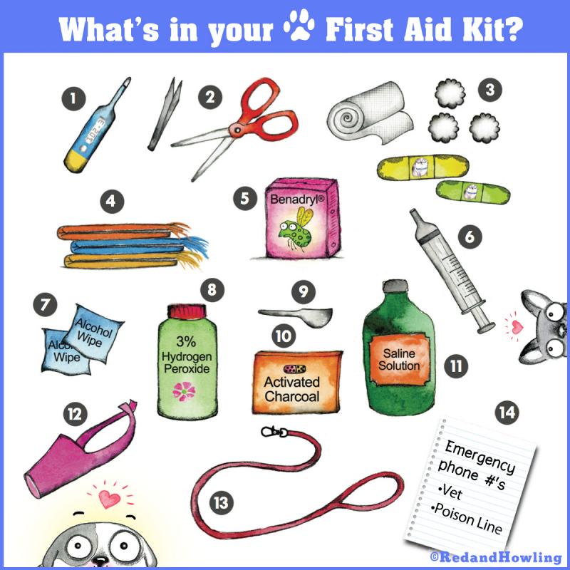 Need An Essential Lacrosse First Aid Kit. Find Out What Should Be Included