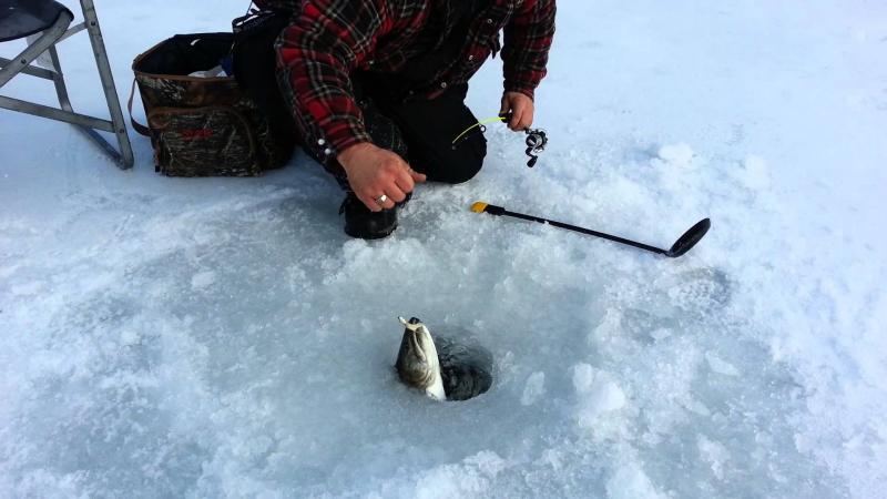 Need An Ice Sled For Ice Fishing This Winter. Discover The Top Ice Fishing Sleds Of 2023