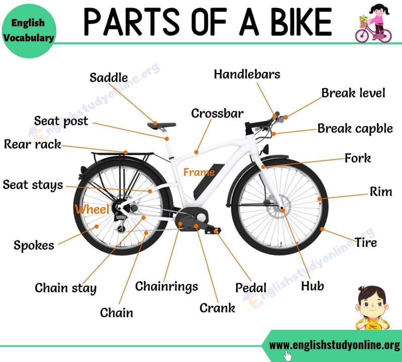 Need Bike Parts Quick. : Discover 15 Ways to Find Quality Bike Parts Near You