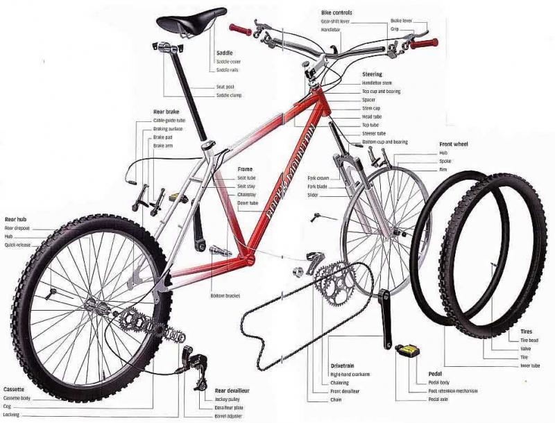 Need Bike Parts Quick. : Discover 15 Ways to Find Quality Bike Parts Near You