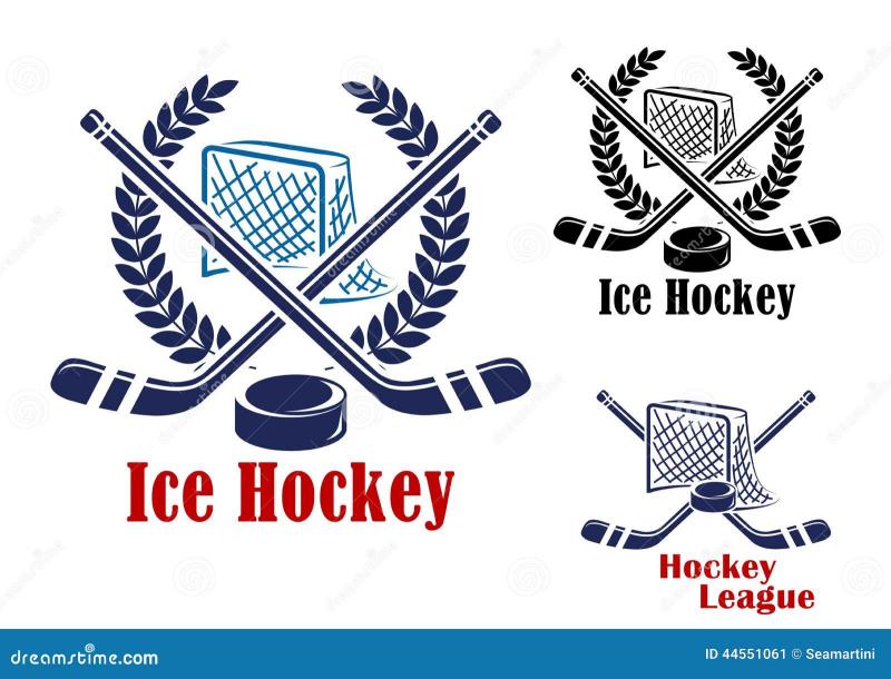 Need Bulk Hockey Pucks for Your Team or League. Here