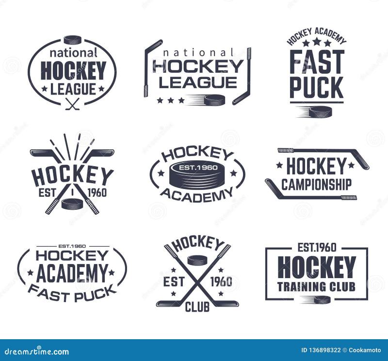 Need Bulk Hockey Pucks for Your Team or League. Here